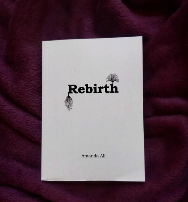 Rebirth: Independently written and published art-book, an existential documentation of 5 years travelling abroad on the alchemist's journey towards true self. It consists of 6 chapters, containing 138 artworks accompanied by poetry.